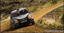 Pirelli Rally